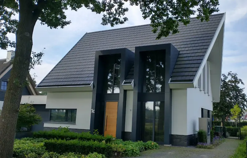 Nieuwbouwwoning onder architectuur met donkere uitbouw en een houten voordeur, Heeswijk-Dinther